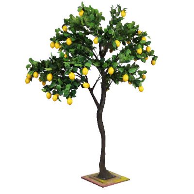 3m_Lemon_Tree