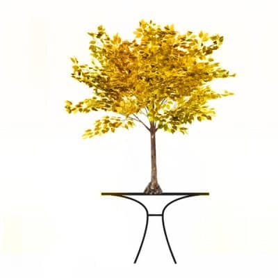 gold leaf tree hire wedding decor