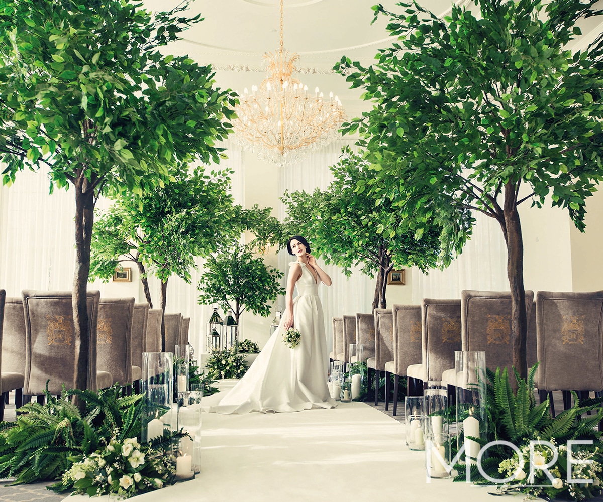 Ficus Tree Lined Wedding Aisle